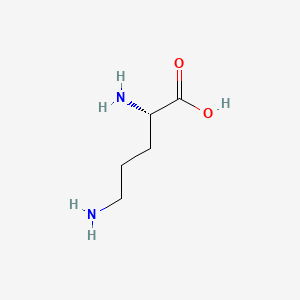 오르니틴 PubChem 분자구조식