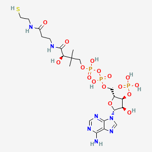 코엔자임에이 PubChem 분자구조식