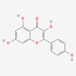 캠페롤 PubChem 분자구조식