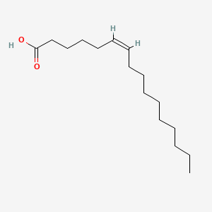 헥사데케노익애씨드 PubChem 분자구조식