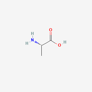 알라닌 PubChem 분자구조식